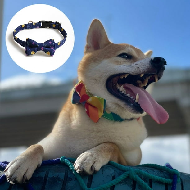 Walmart hotsell dog accessories
