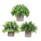 thumbnail image 5 of 3 piezas de pequeñas plantas falsas, plantas artificiales en maceta, plantas decorativas de imitación en maceta para estante de oficina, decoración de Estilo I, 5 of 8