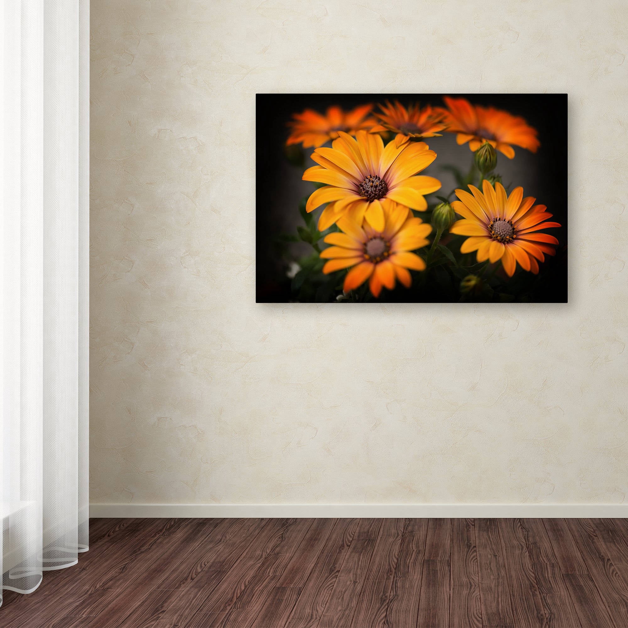 Trademark Fine Art "Stand Up" Canvas Art by Philippe Sainte-Laudy