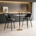 thumbnail image 6 of Elegant Decor Ronan 28 Inch Pub Table In White, 6 of 7