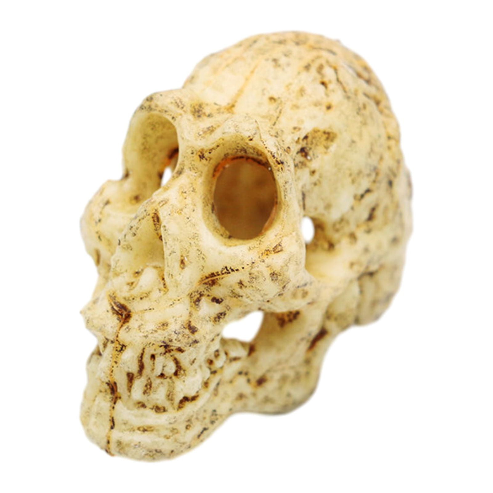 FaLX Skull Figurine Replica - Anthropoid Gazelle Crocodile