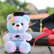 thumbnail image 1 of Decoración del hogar, decoración de la habitación, decoración de la pared Oso de peluche con graduación Regalo de graduación Oso de peluche de graduación Conmemorativo de graduación Ella Él Universida, 1 of 6