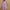 Purple, variant on Ynynloco Women's Satin Silk Nightgowns Loose Sleepwear Satin Negligee Chmeise Nighty Mesh Square Neck Nightwear