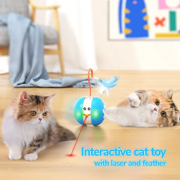 Boîte interactive à plume pour chats - Petits Compagnons