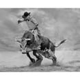 thumbnail image 3 of Wang, Yun 24x20 Black Modern Framed Museum Art Print Titled - Ram Rodeo, 3 of 5