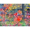 thumbnail image 3 of Tenoever, William 24x19 Black Modern Framed Museum Art Print Titled - Fall Somewhere, 3 of 5