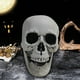 thumbnail image 5 of Calavera de Esqueleto de Halloween, Cabeza Humana de Plástico Realista, Accesorio de Fiesta Espeluznante, Decoración de Patio Interior Exterior, Ideal para Halloween, Tamaño 8 X 12 X 10 Cm, Juego de, 5 of 7
