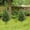 Green, variant on Gqtwoy Artificial Cedar Topiary Trees for Outdoors, Fake Plants, Decorative Shrubs for Garden, Patio, and Home, Realistic Greenery, Maintenance-Free Indoor and Outdoor Decor