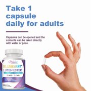 Blueberry Lutein Ester Capsules - with Zeaxanthin - Antioxidants, Vision & Eye Health Support - 120 Capsules