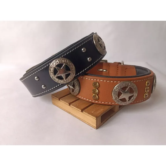 Shwaan Black Studded With Star Premium Leather Dog Collar Small 11" to 14" in