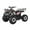 Army Pink, variant on Coolster 125cc Fully Automatic Mid Sized Utility ATV C5125XR8