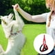 thumbnail image 5 of Juego de correa y collar para perro reflectante Correa de cuello tapizada de camuflaje correa de agarre a juego,, 5 of 5