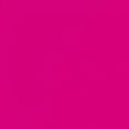 thumbnail image 4 of Playera Blusa De Capybara Con Paliacate Diseño Divertido Ropa Para Mujer Capibara Color Fucsia Talla Mediana Marca Emil SaEs, 4 of 4
