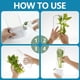 thumbnail image 5 of 2X Conservador de Hierbas Frescas para Refrigerador, Contenedor de Cilantro Que Ahorra Espacio para Refrigerador - Protector de Hierbas para Cilantro y Espárragos de, 5 of 5