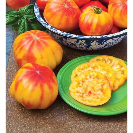 Bonnie Plants Mr. Stripey Tomato 6-pack