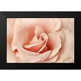 thumbnail image 2 of Michal, Susan 24x17 Black Modern Framed Museum Art Print Titled - Rosa, 2 of 5