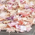 thumbnail image 5 of SAFAVIEH Rio Cassandra Confetti Polyester Shag Area Rug, Ivory/Pink, 3' x 5', 5 of 7