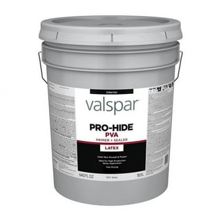Valspar Flat Alabaster Stone Sandstone Spray Paint and Primer In One (NET  WT. 12-oz) at