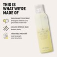 thumbnail image 4 of Root-Lifter Drybar Southern Belle para aumentar el volumen del cabello, 4 of 9