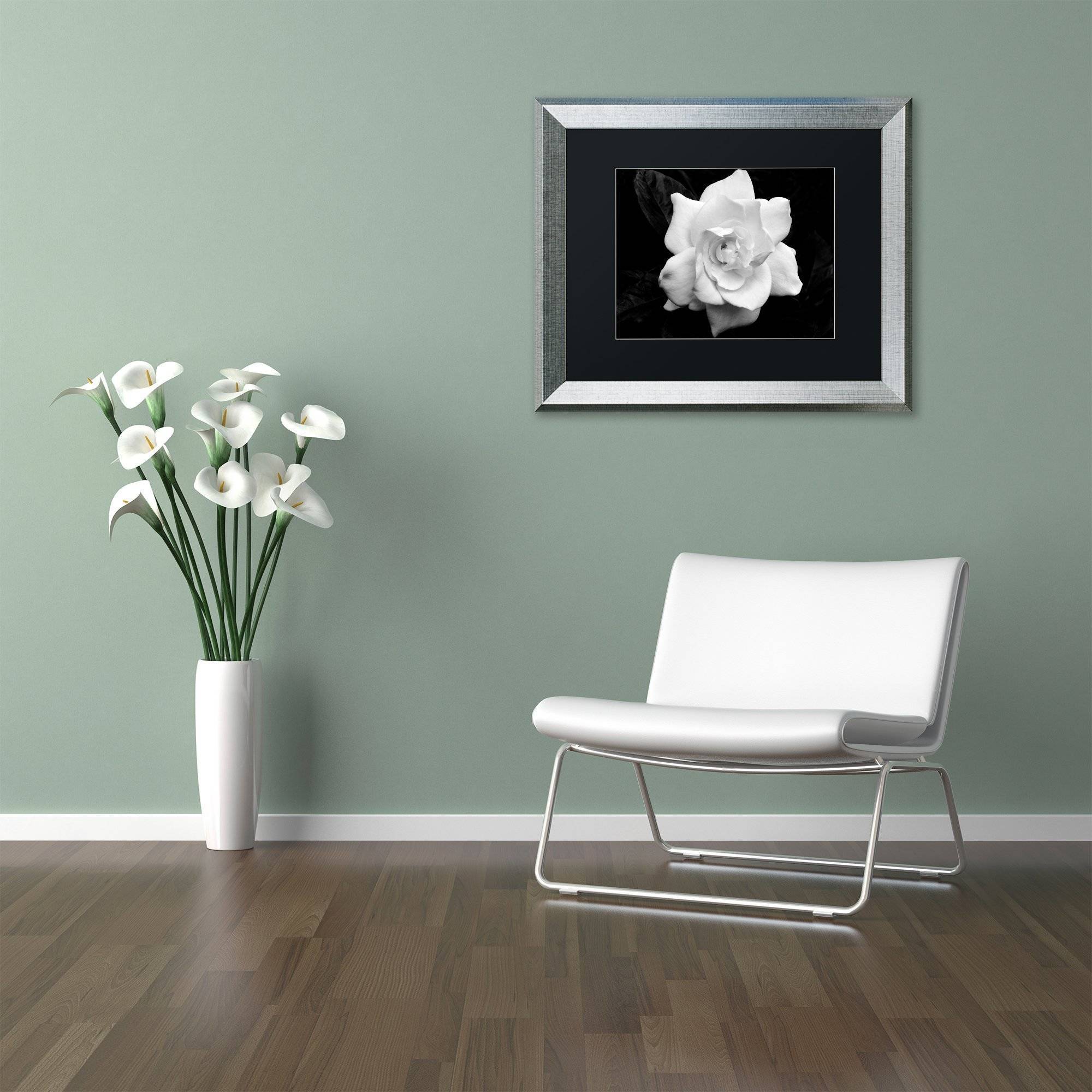 Trademark Fine Art "Gardenia in Black and White" Canvas Art by Kurt Shaffer, Black Matte, Silver Frame