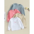 thumbnail image 5 of Wassery Kids Girl Fall Sweatshirts 6M 12M 18M 24M 3T 4T Toddler Baby Girl Casual Autumn Clothes Long Sleeve Crewneck Floral Embroidery Pullover Tops, 5 of 9