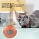 thumbnail image 3 of Juguetes interactivos intelectuales de la placa de la diversión del gato del animal doméstico del plástico de la placa giratoria Ndcxsfigh Nuevos Originales, 3 of 8