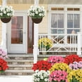 thumbnail image 7 of Zukuco Artificial Flowers for Outdoors, 4 Pack Geraniums Silk Flowers UV Resistant No Fade Faux Flowers Geraniums Bush for Home Outdoor Garden Porch Window Vase Wedding Decor (White), 7 of 7