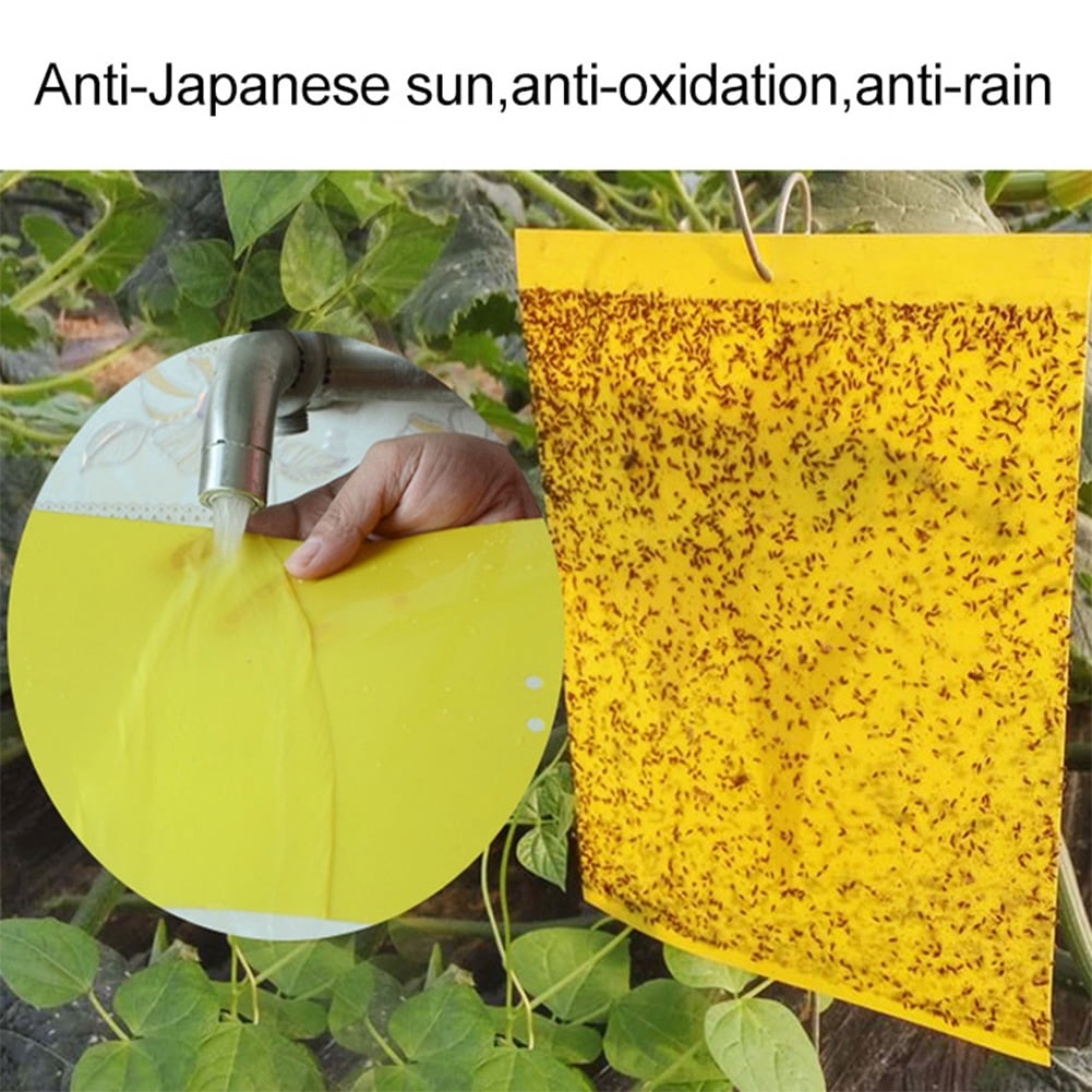 YiaNXan 100 Pack Dual-Sided Sticky Traps for Plant, Sticky Board Catching for Flying Plant Insect Indoor Outdoor, 5.9x7.87inch