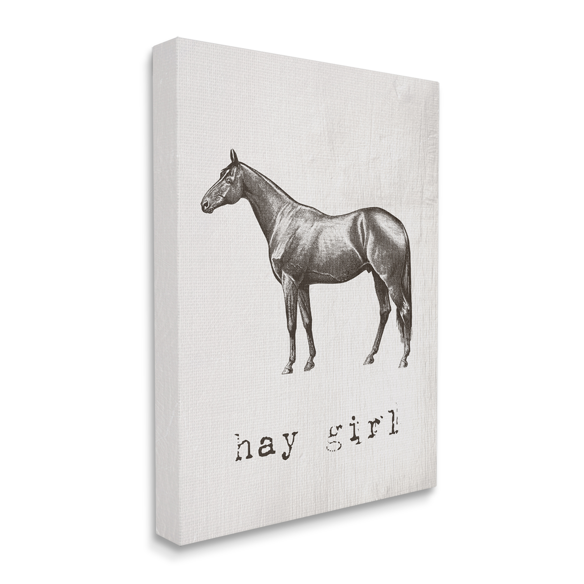 Stupell Industries Hay Girl Funny Horse Pun Vintage Equestrian Portrait Graphic Art Gallery-Wrapped Canvas Print Wall Art, 16x20, by Daphne Polselli