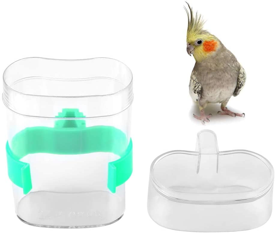 Windfall Automatic Bird Water Feeder Drinker Parrot Water Container