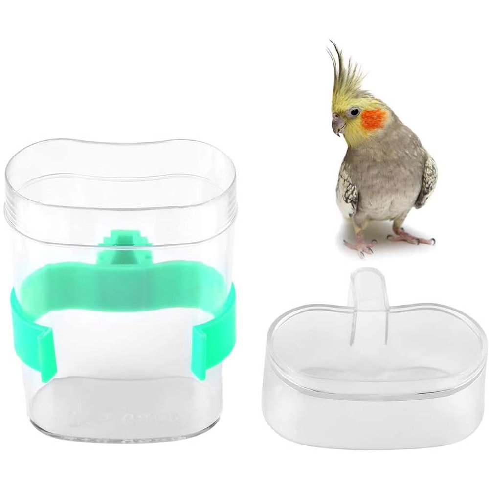 Windfall Automatic Bird Water Feeder Drinker Parrot Water Container