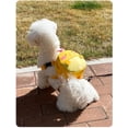 thumbnail image 5 of Mochila con arnés para perros, bonita mochila para perros pequeños y medianos, sin tirones, bolsa de malla con anilla en D, pollito, 5 of 5