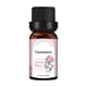 thumbnail image 1 of Perfume 10ML Candle Unilateral Sweet Orange Aromatherapy Teatree Oil Lavender DIY Candle Material Oil-Soluble Aromatherapy Essentialoil, 1 of 2