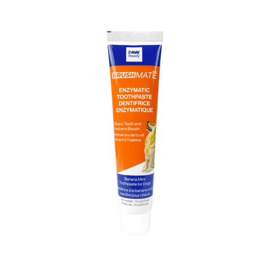 Paw Readyâ„¢ Enzymatic Dog Toothpaste Banana & Mint Flavor |Cleans Teeth and Freshens Breath