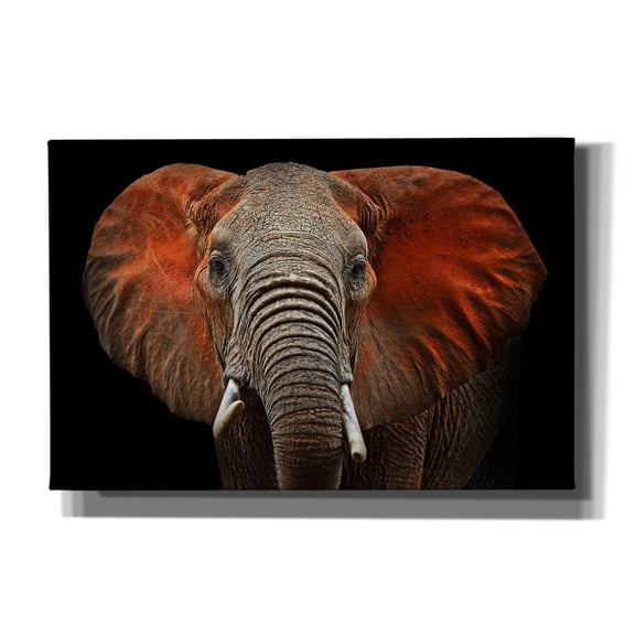 Epic Graffiti 'Fire Elephant' by Epic Portfolio, Canvas Wall Art, 18"x12"