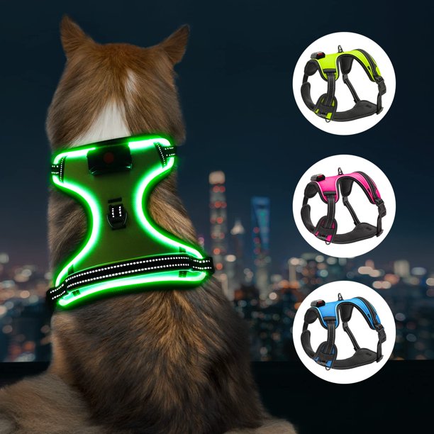 How To Use Puppy Milk Replacers PetSmart