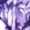 E-Purple, variant on Juniors Women's tie dye Denim Jeans Skinny Stretch Distressed Pants jean