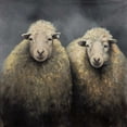 thumbnail image 2 of Atelier B Art Studio 12x12 White Modern Wood Framed Museum Art Print Titled - Sheeps Wool, 2 of 4