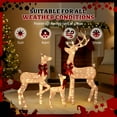 thumbnail image 3 of 3-Piece Lighted 5ft Reindeer Family Set w/ 290 Warm White LED Lights, Christmas Holiday Decor Buck, Doe & Fawn for Indoor & Outdoor Use (Champagne), 3 of 10