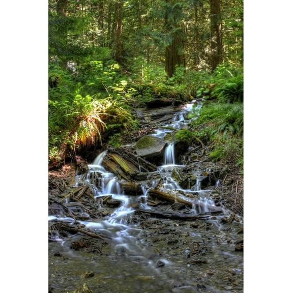 Boer "Bridal Falls" Wall Decal