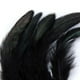thumbnail image 5 of 25 Pares de Ropa de Plumas de Gallo Teñidas de Negro para Manualidades DIY, 5 of 9