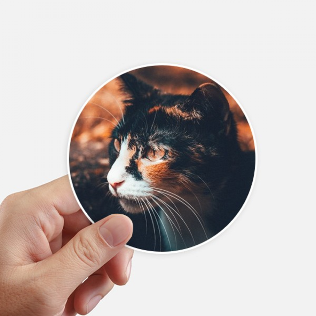 Chat Brun Stare Profil Animal Vintage Autocollant Rond Mur Valise Ordinateur Portable Étiquette Pare-Chocs