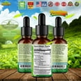 Pack ) BUTTER STEVIA DROPS ORGANIC LIQUID STEVIA BEST SUGAR