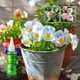 thumbnail image 5 of Solución de Resurrección de 50 ml que soluciona el problema de las hojas amarillas medio muertas. Primeros auxilios en cultivos hidropónicos, flores en macetas y otras soluciones nutritivas., 5 of 5