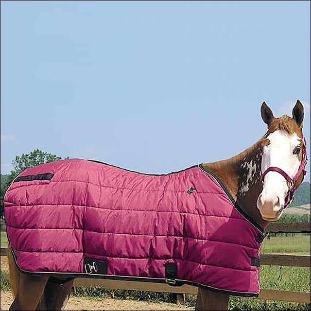 80" Weaver Burgundy 1200D Horse Winter Stable Blanket 400 Grams Poly Fiber Fill