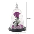 thumbnail image 2 of Flor De Simulación Conservada Flor De Rosa Fresca Regalo De Deshidratación Delicada Con Luz Led De Ambiente Para Cumpleaños De Aniversario Minnieouse HA025919-00, 2 of 5