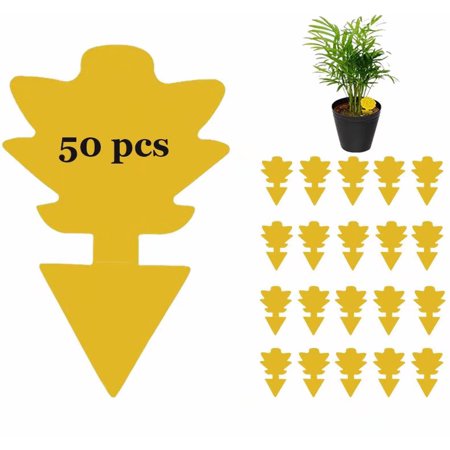 50 Pcs Sticky Traps for Fruit Fly  Whitefly  Fungus Gnat  Mosquito and Bug  Yellow Sticky Insect Catcher Traps for Indoor/Outdoor/Kitchen  Extremely Sticky Fly Trap  Non-Toxic(Succulents)