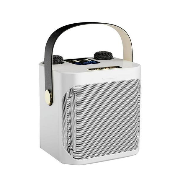 High Power Karaoke Bluetooth Speaker Portable 360 Stereo Surround Waterproof Wireless Subwoofer with Dual Microphone-B