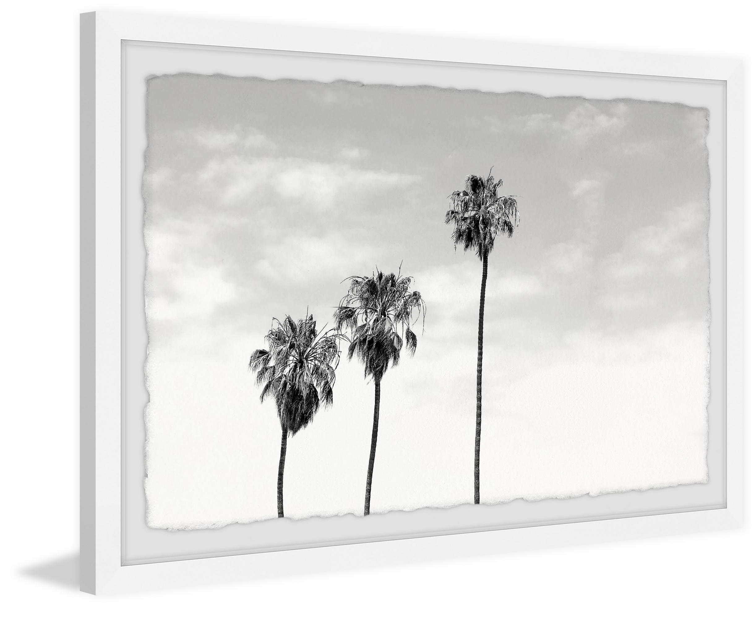Marmont Hill Palm Trees View Framed Wall Art