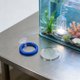 thumbnail image 4 of BRIGHTFUFU 1Jgo Anillo De Entrenamiento Con Para Betta Para De Actividad En Acuarios, 4 of 8